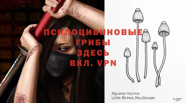 ALPHA PVP Верхнеуральск