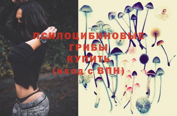 круглые Верея