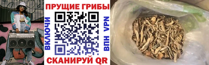 как найти наркотики  Безенчук  Галлюциногенные грибы прущие грибы 